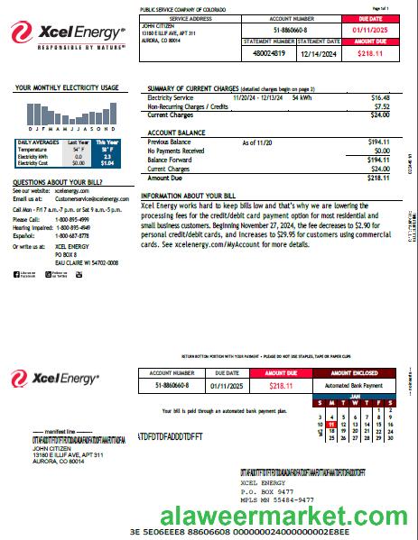 USA Xcel Energy utility bill template in Word and PDF formats, version 2